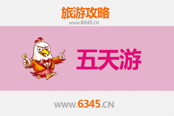 衡水枣强五天四夜深度游攻略：探索历史文化与自然风光